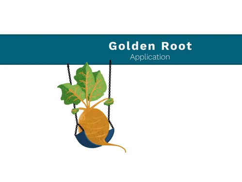 Golden Root Application