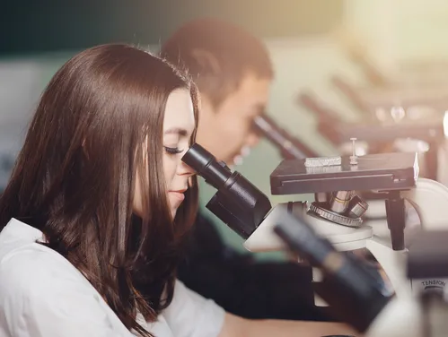 Health Sciences Career Day