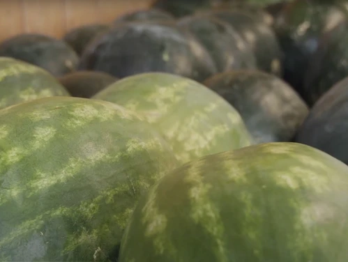 Watermelon