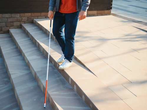 White Cane Day