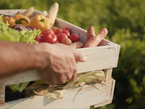 Federal grant award links local foods with Iowa schools