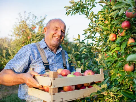 Register today! Fall marks the return of Iowa Local Food Day