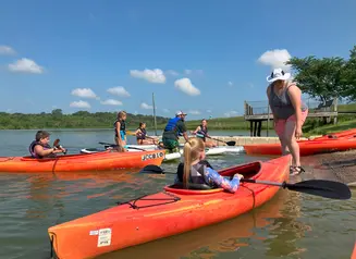 Summer Externs