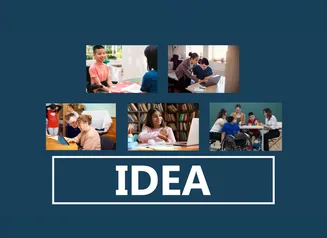 IDEA video