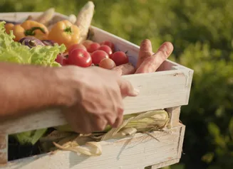farmer produce
