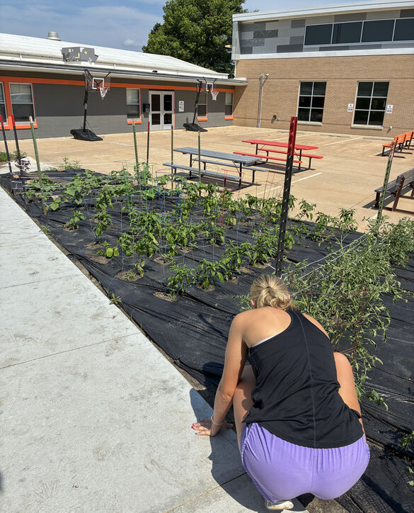 Easton Valley Greenhouse